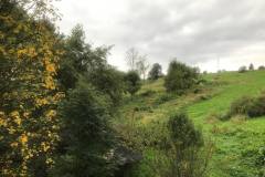 IMG-0144