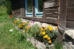 1098074_525624834190757_1821437270_n