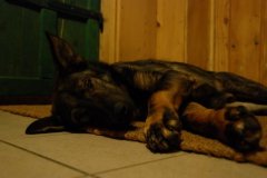 20061_101513016544527_7637292_n