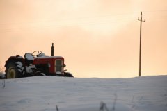 20061_101632409865921_6779304_n