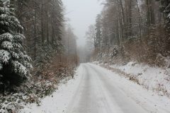 IMG_5075
