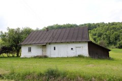 IMG_7116
