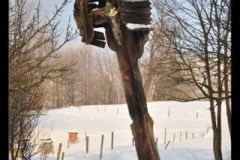 Nowica-widok-15