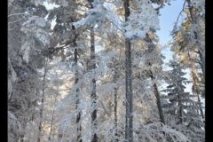 Nowica-widok-16