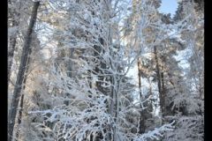 Nowica-widok-17
