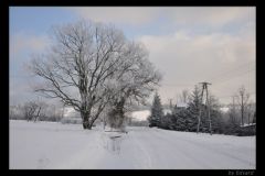 Nowica-widok-4