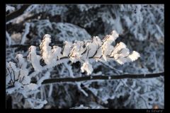 Nowica-widok-9